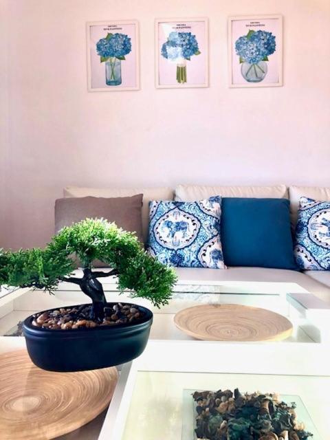 Gatu Premium Atico Parra, Parking, Piscina Comun, Terraza, Wifi , " Preferente Mayores De 25 Anos Y Familias " エル・プエルト・デ・サンタ・マリア エクステリア 写真